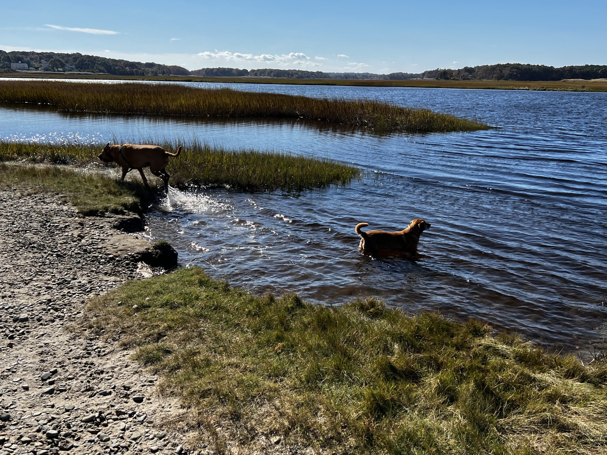 South River, Marshfield